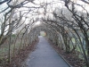 Christchurch