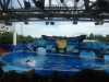 Sea World