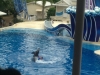Sea World