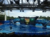 Sea World