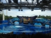 Sea World