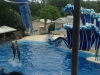 Sea World